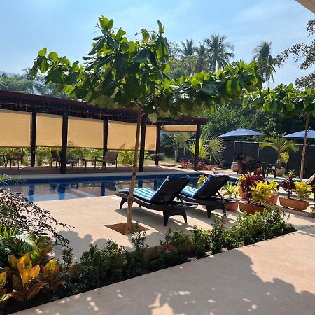 Natura Hotel & Villas Zihuatanejo Luaran gambar